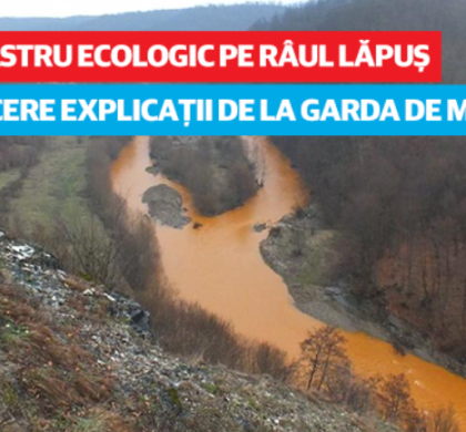 Parlamentarii USR cer explicații cu privire la dezastrul ecologic de pe râul Lăpuș