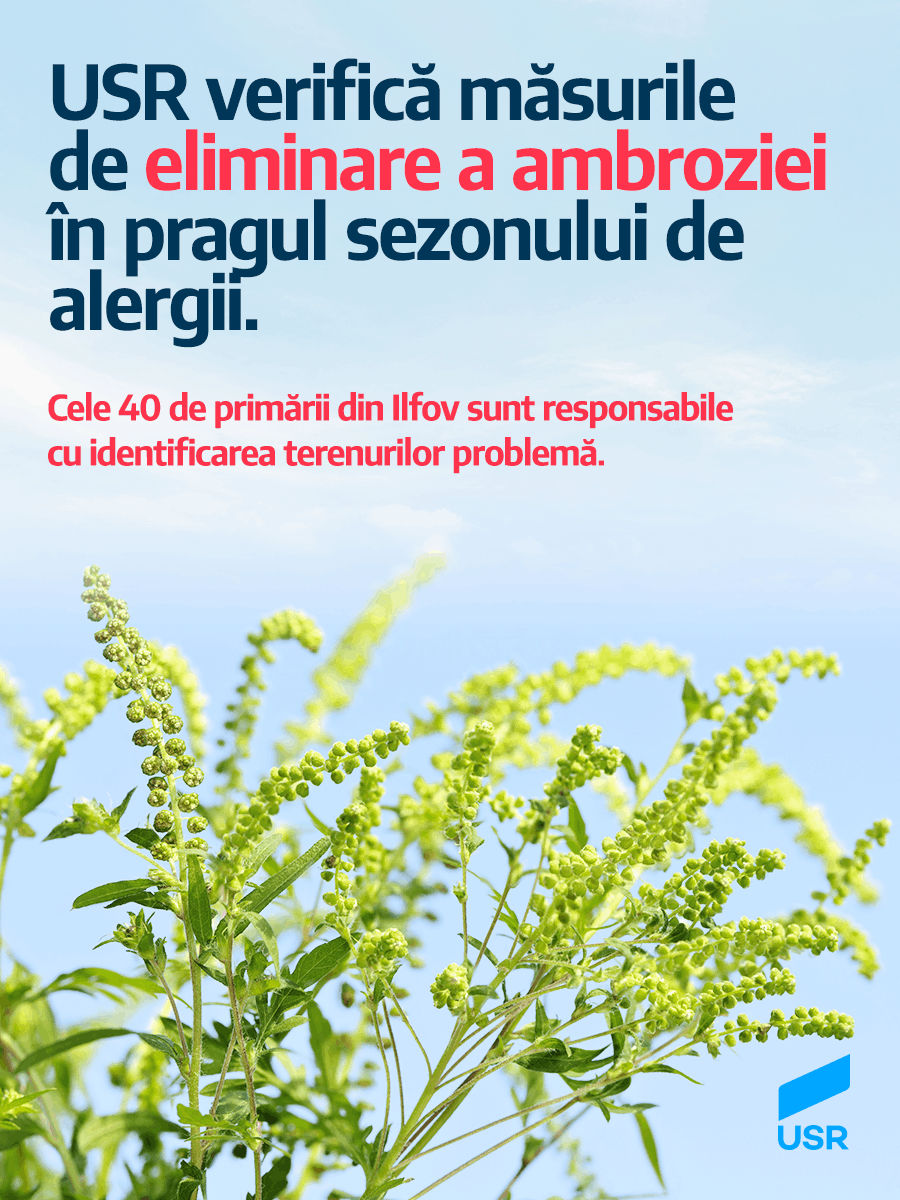 Începe sezonul alergiilor cauzate de ambrozie. Care e stadiul măsurilor de prevenție în Ilfov